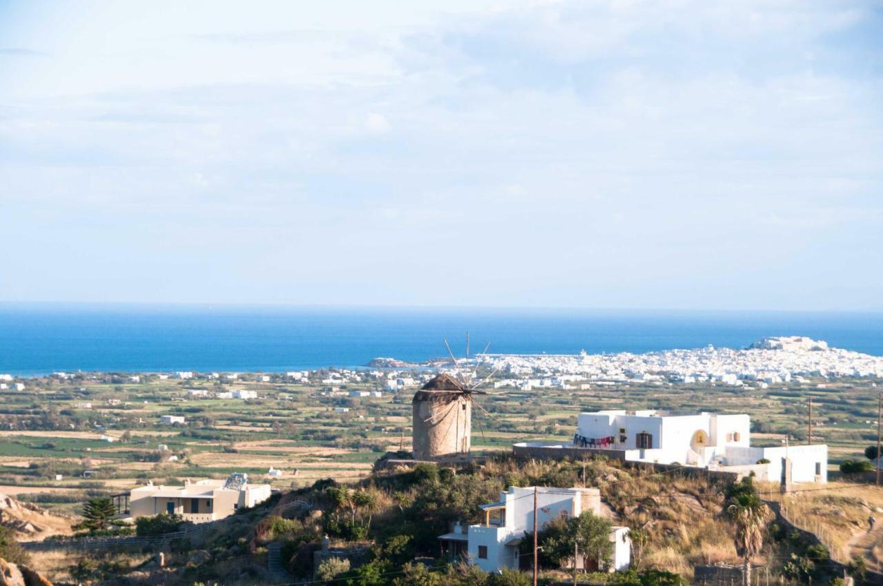 Naxos View Daire Glinado Naxos Dış mekan fotoğraf